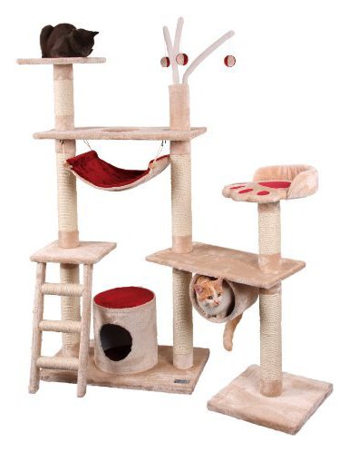 arbre a chat bordeaux